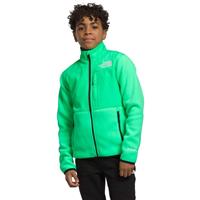 The North Face Big Kids’ Denali Jacket - Chlorophyll Green